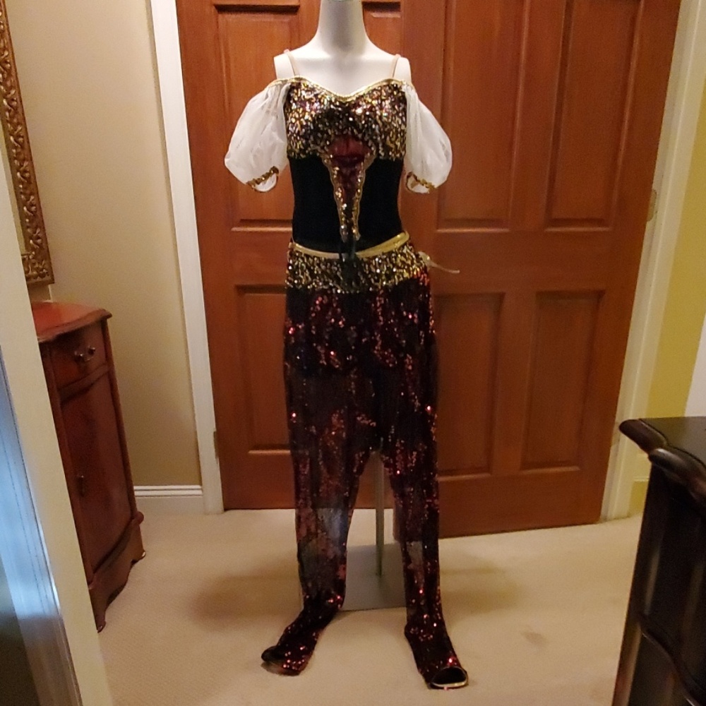 Women's Pirate costume